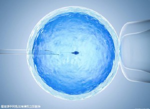 高龄二胎案例